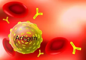 antigen