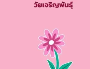 วัยเจริญพันธุ์